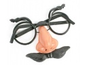 2013-12-05-faux-nez.jpg